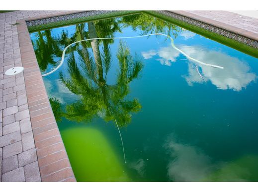 rattraper une eau de piscine verte