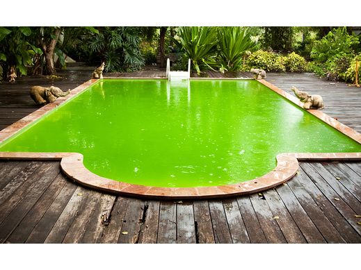 Comment rattraper une eau de piscine verte ?