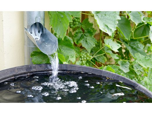 Peut-on remplir sa piscine avec de l'eau de pluie ?