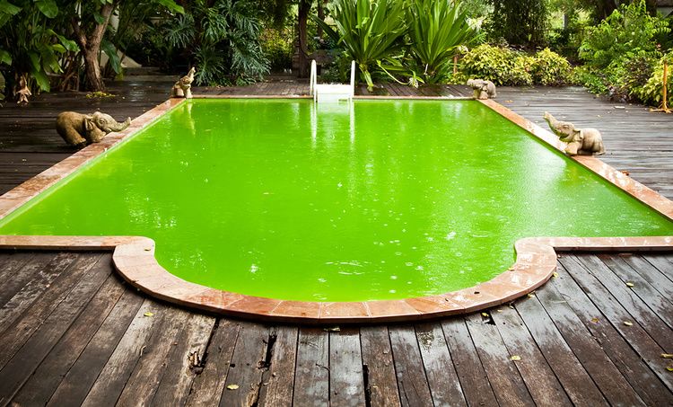 Comment rattraper une eau de piscine verte ?