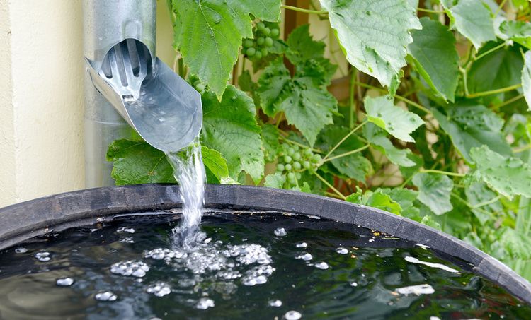 Peut-on remplir sa piscine avec de l'eau de pluie ?